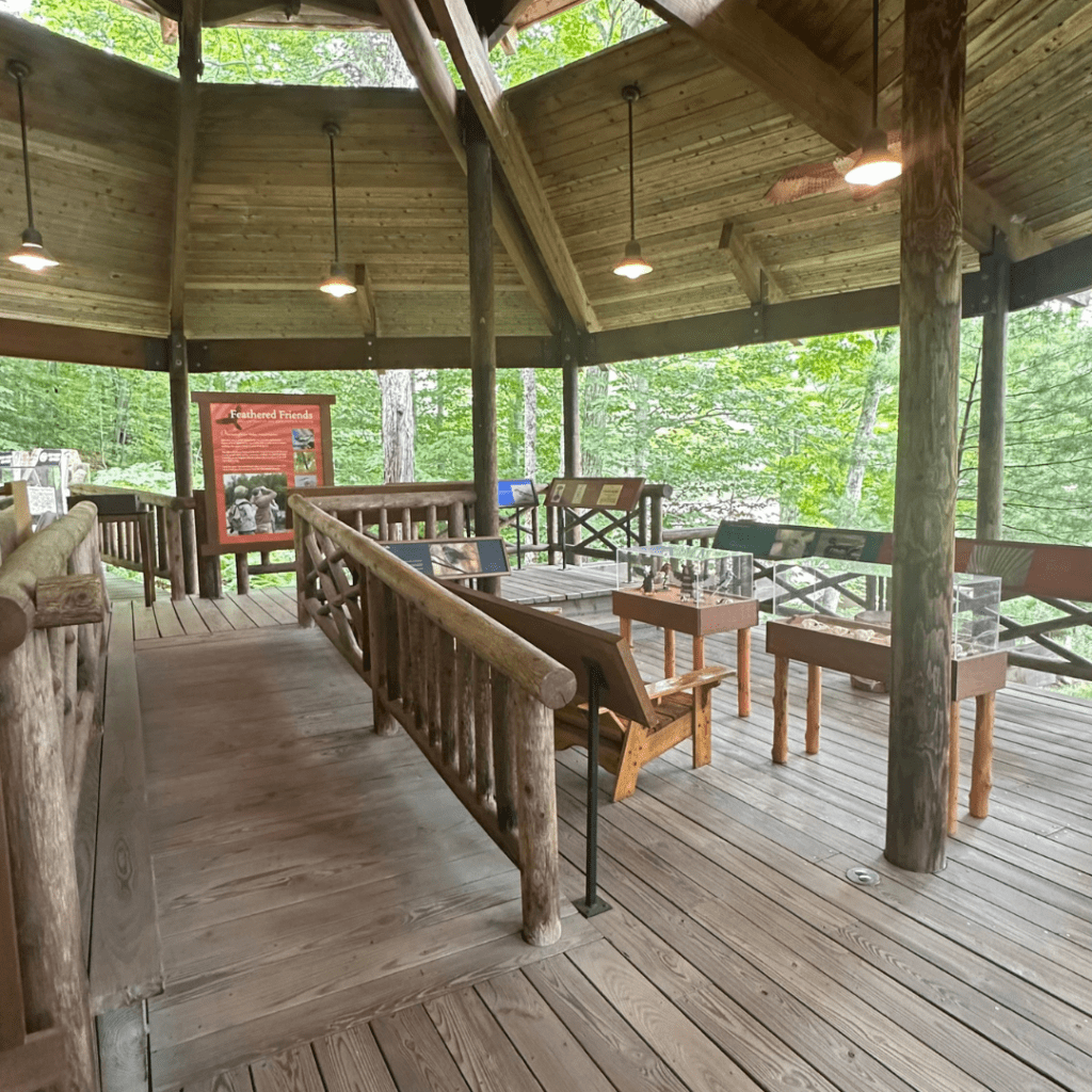 Go on an Adirondack Experience with us at the Museum on Blue Mountain Lake and walk through the Merwin Hill Pavilion