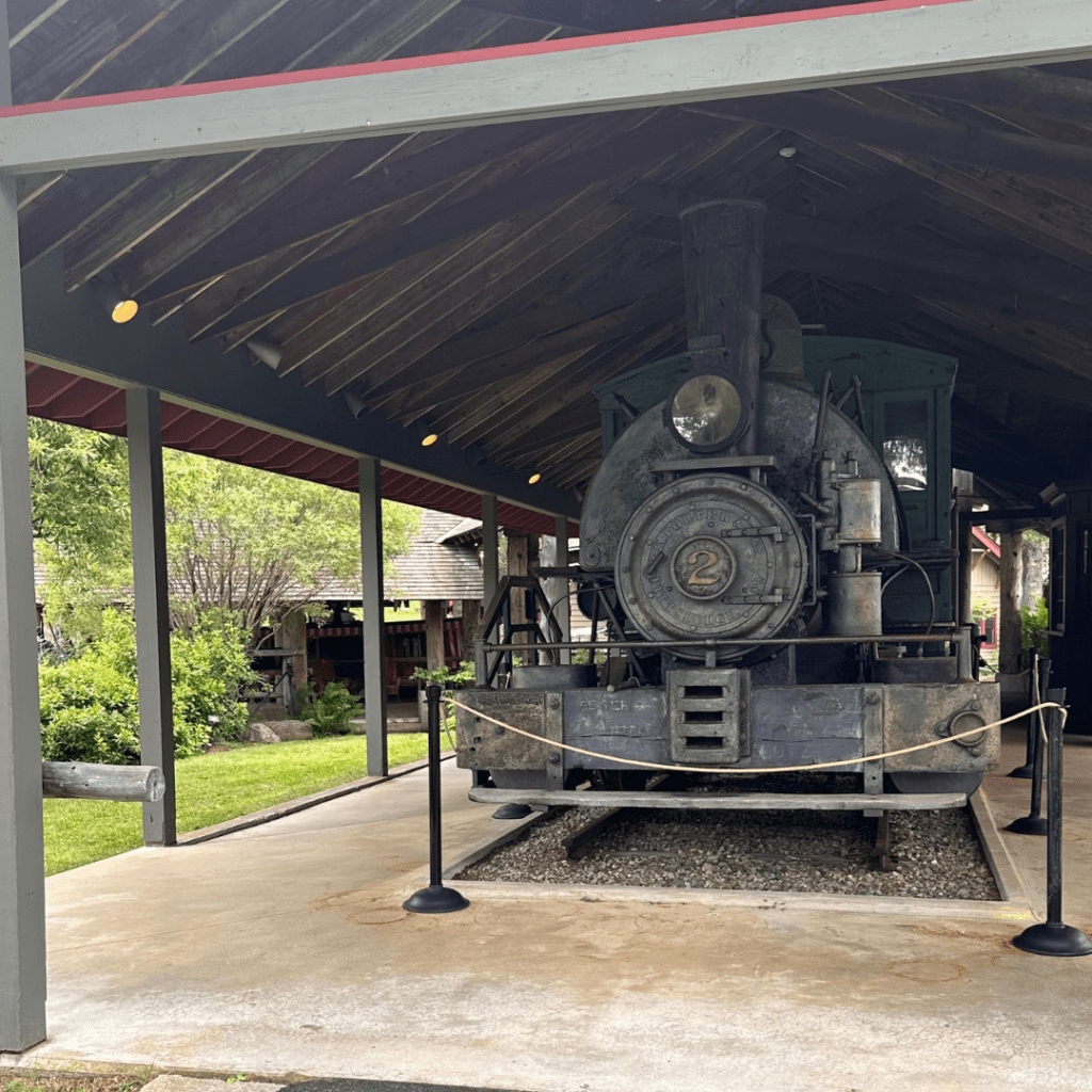 Go on an Adirondack Experience with us at the Museum on Blue Mountain Lake and look at the old train