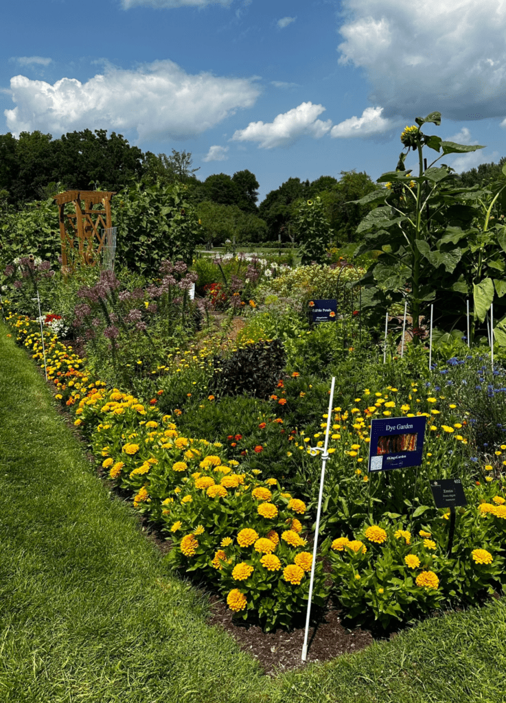 Take a drive to Fort Ticonderoga and visit the Discovery Gardens