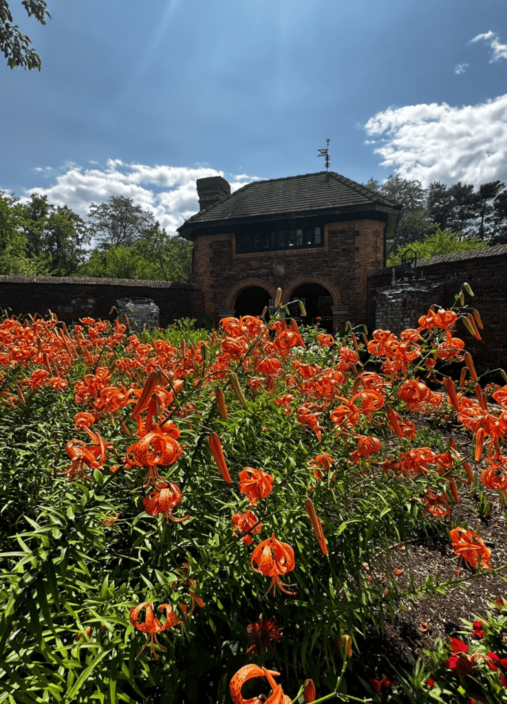 The King's Garden at Fort Ticonderoga