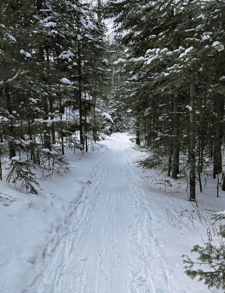 The VIC offers a variety of trails to snowshoe