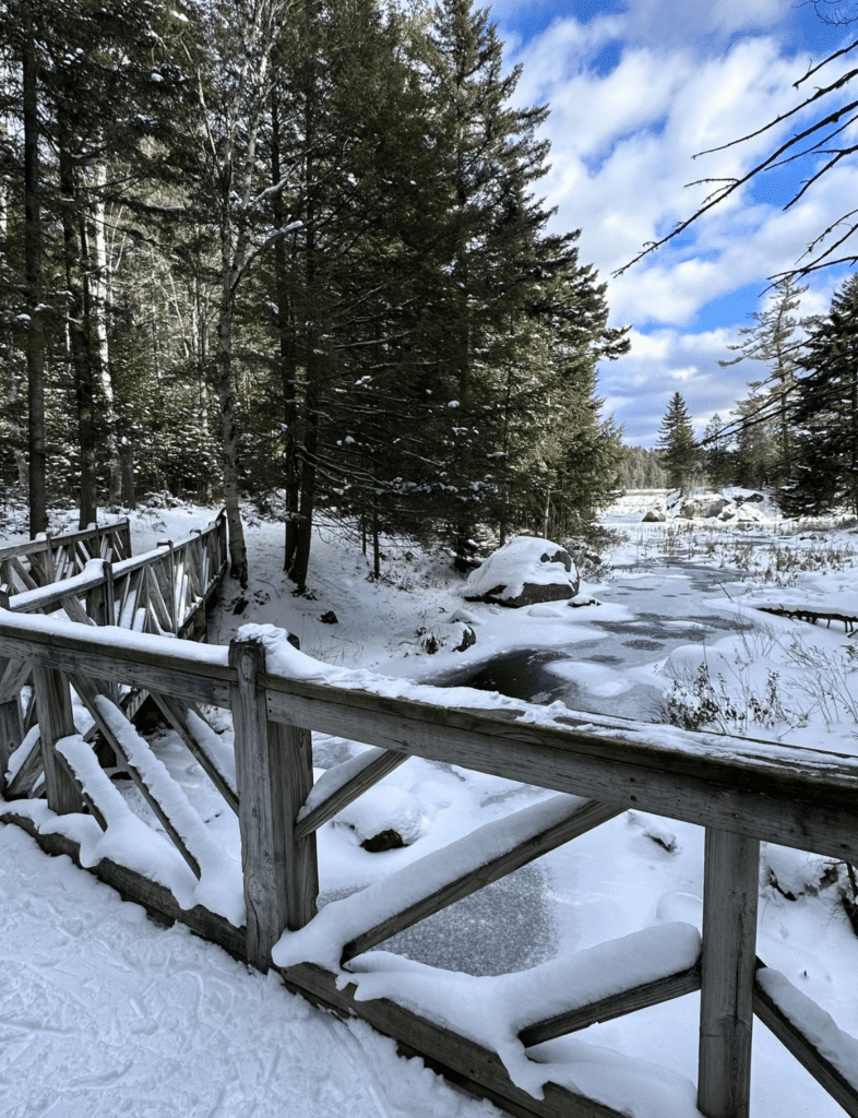 The VIC offers a variety of trails to snowshoe