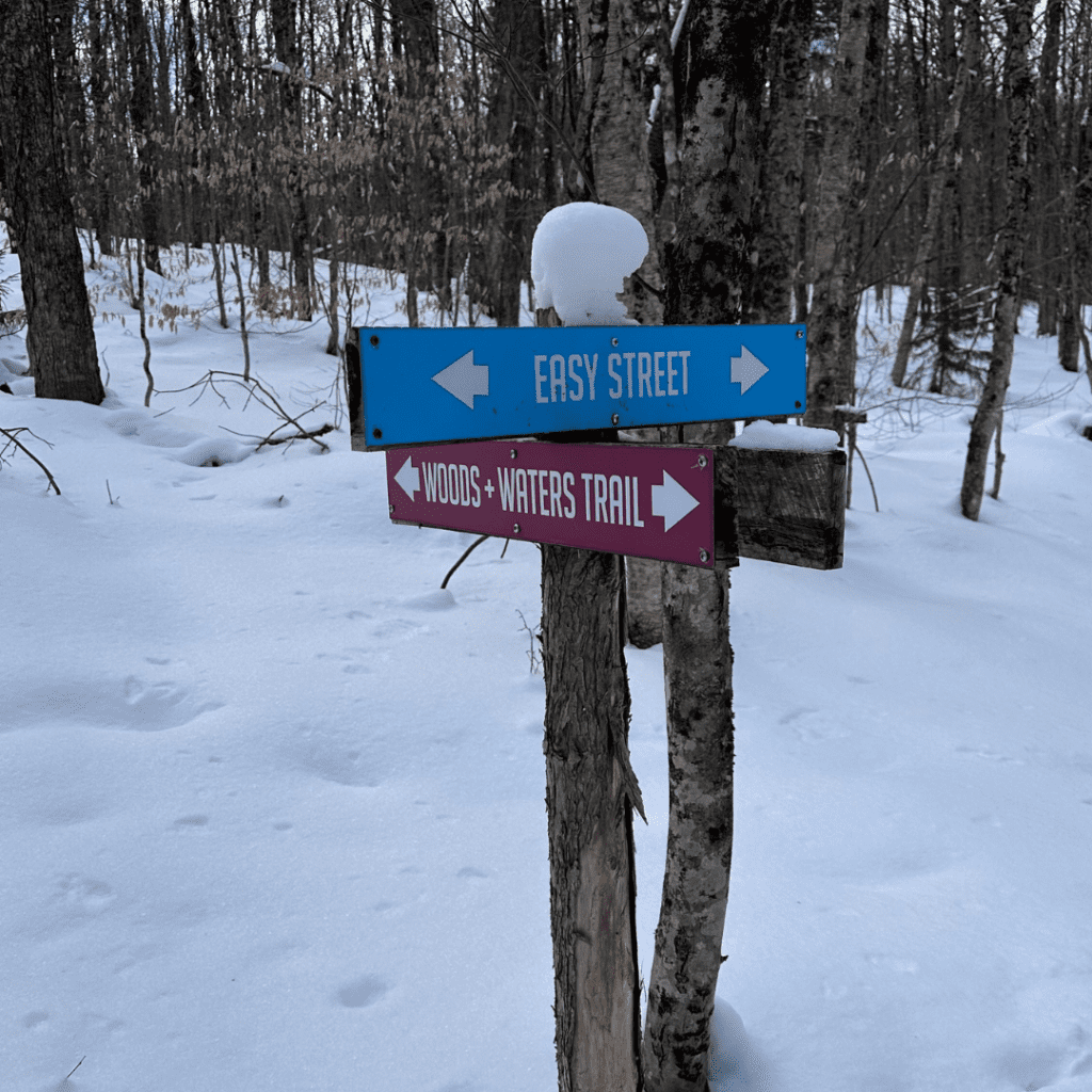 Try snowshoeing at the VIC this winter